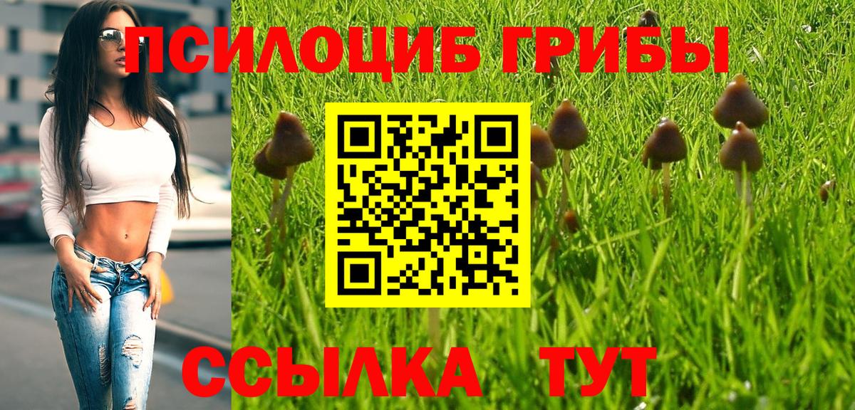 Галлюциногенные грибы Magic Shrooms  Вход с VPN  Псилоцибиновые грибы MAGIC MUSHROOMS  Жуковский 